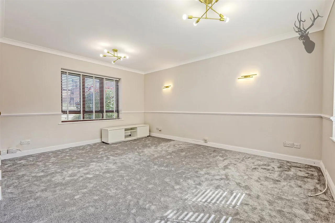 Epping New Road, Buckhurst Hill, IG9, photo 2