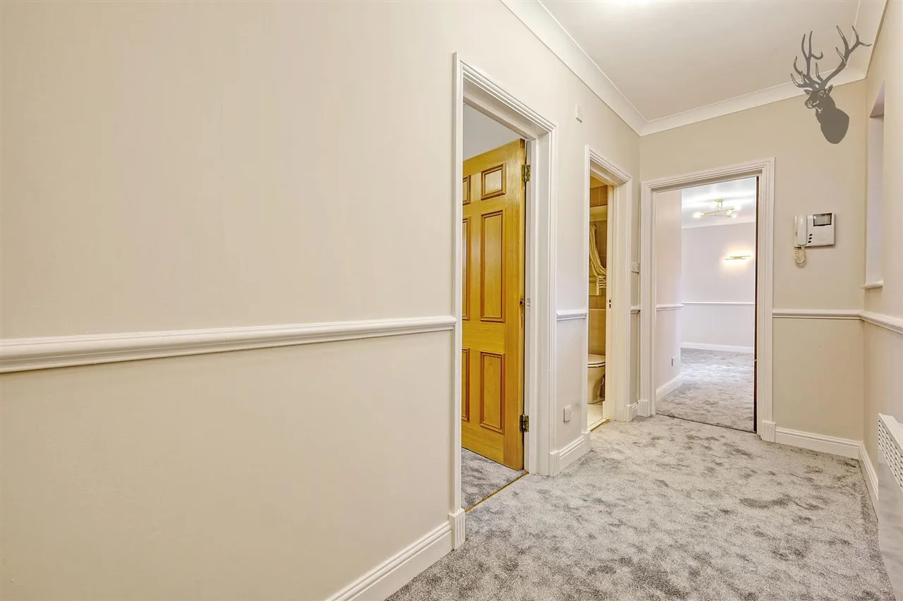 Epping New Road, Buckhurst Hill, IG9, photo 10