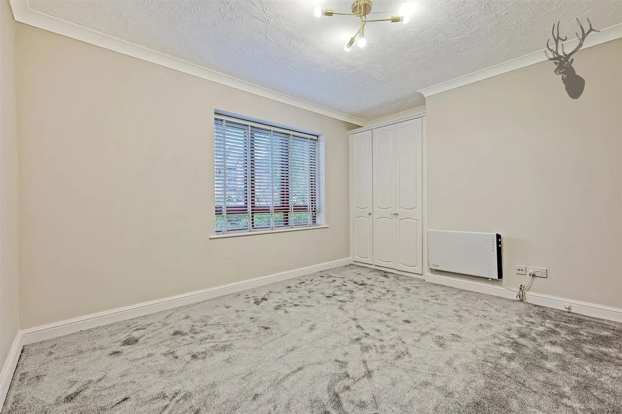 Epping New Road, Buckhurst Hill, IG9, photo 6