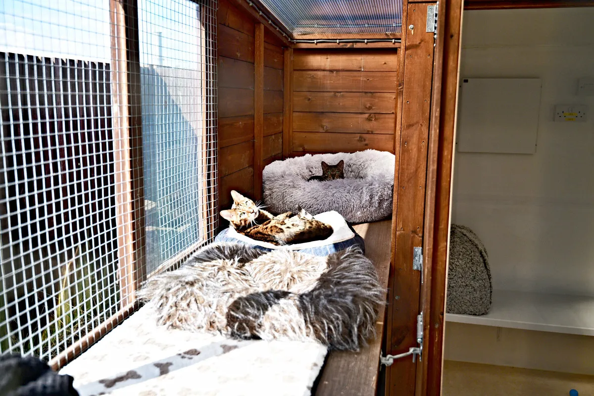 Brenthead Farm, Kilwinning, KA13, photo 8
