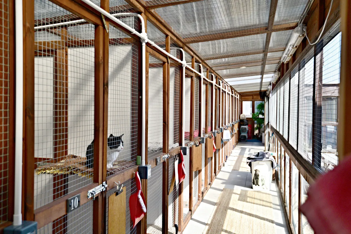 Brenthead Farm, Kilwinning, KA13, photo 4