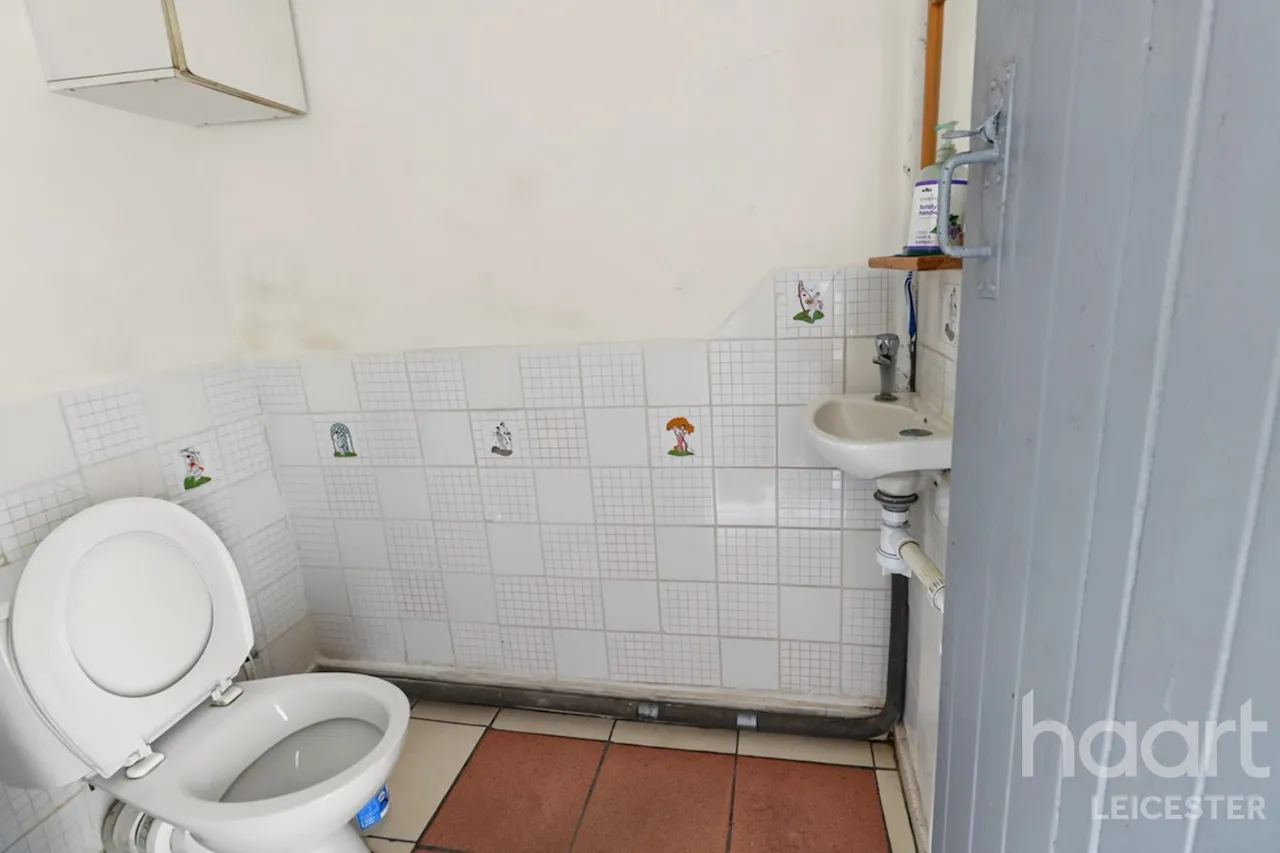 Beatrice Road, Leicester, LE3, photo 11