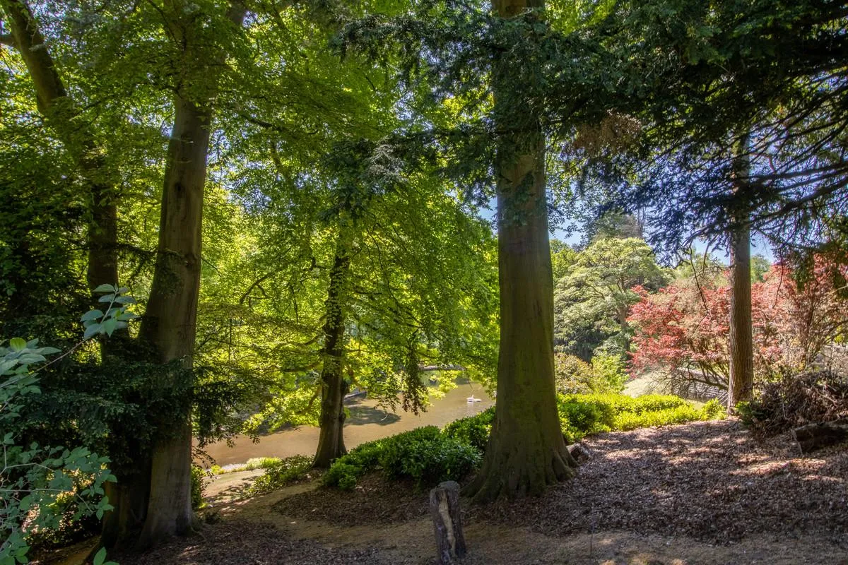 Swythamley Hall Rushton Spencer Macclesfield, SK11, photo 48