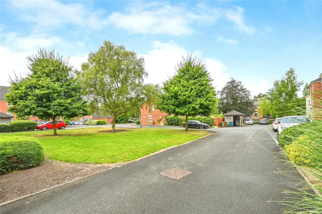 Hollins Drive, Stafford, Staffordshire, ST16, photo 11