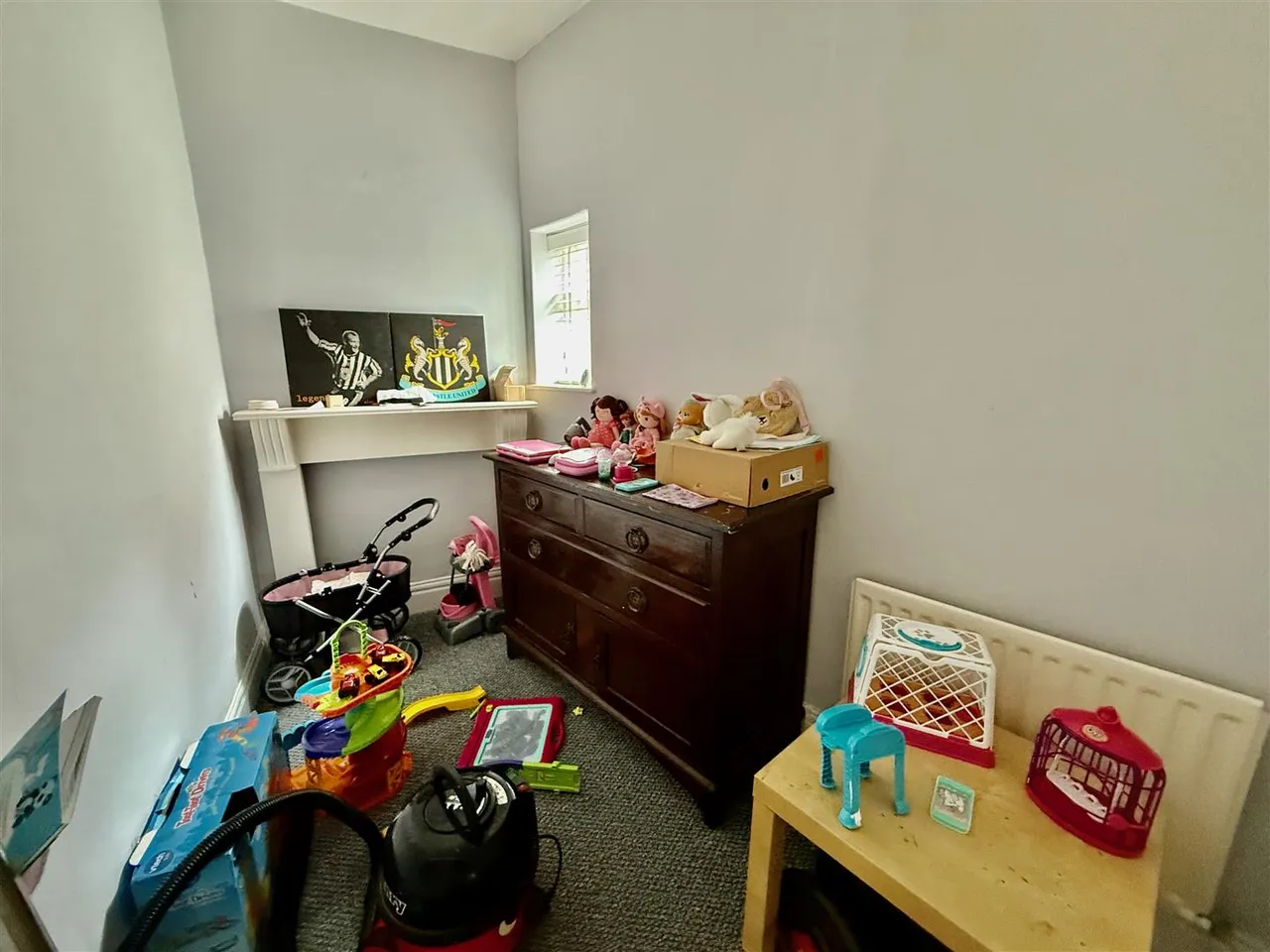 Fern Dene Road, Gateshead, photo 8