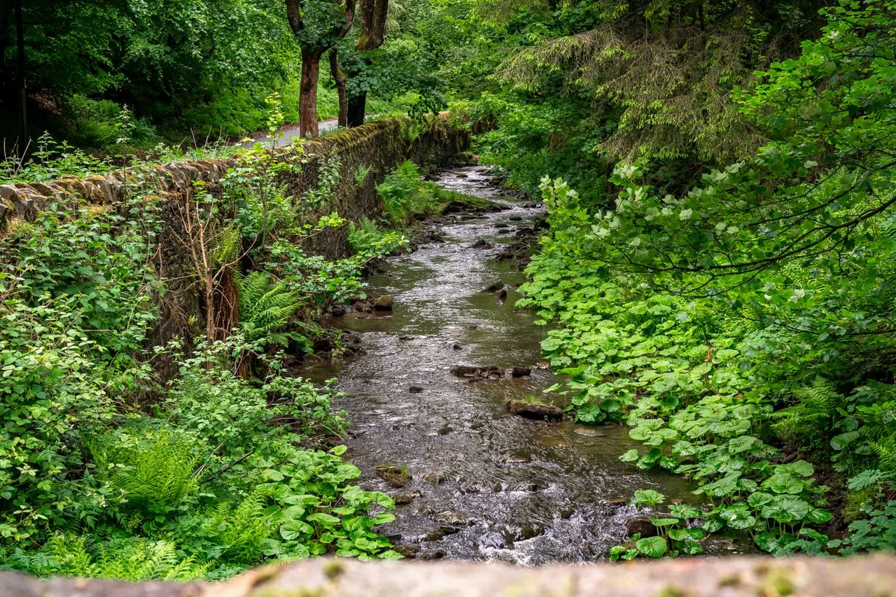 Wildboarclough, Macclesfield, SK11, photo 19