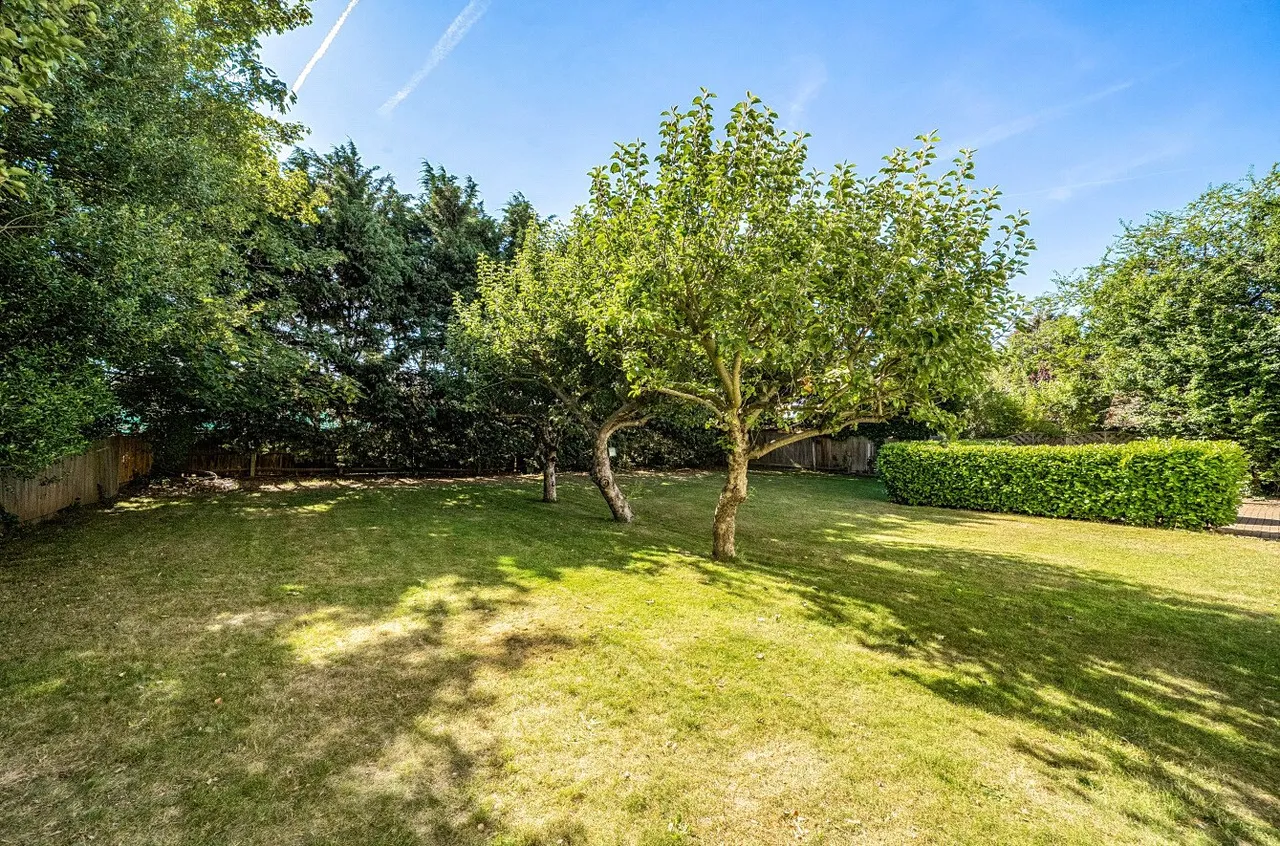 Homefield Road, Bromley, BR1, photo 11