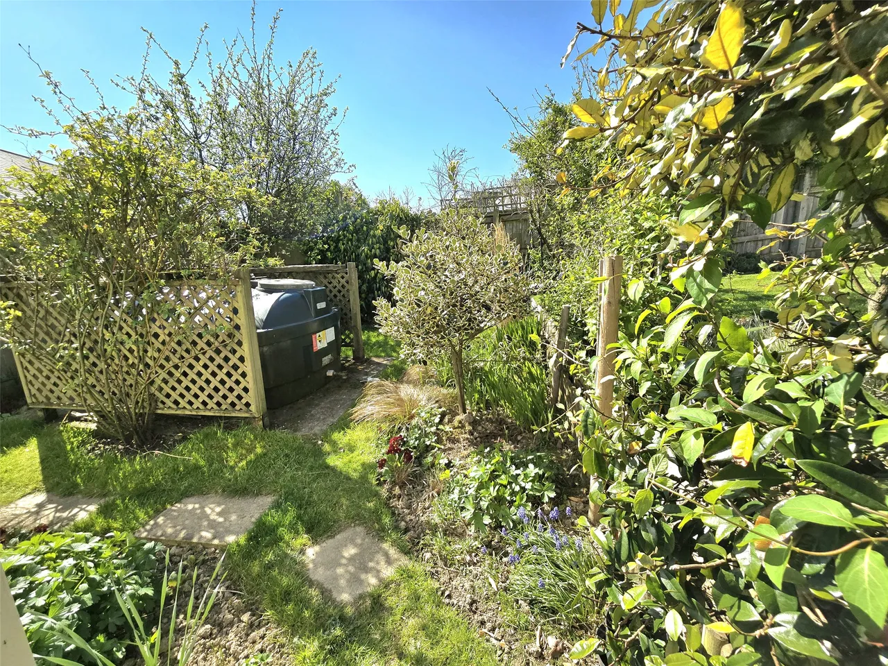 Molesworth Way, Holsworthy, EX22, photo 10