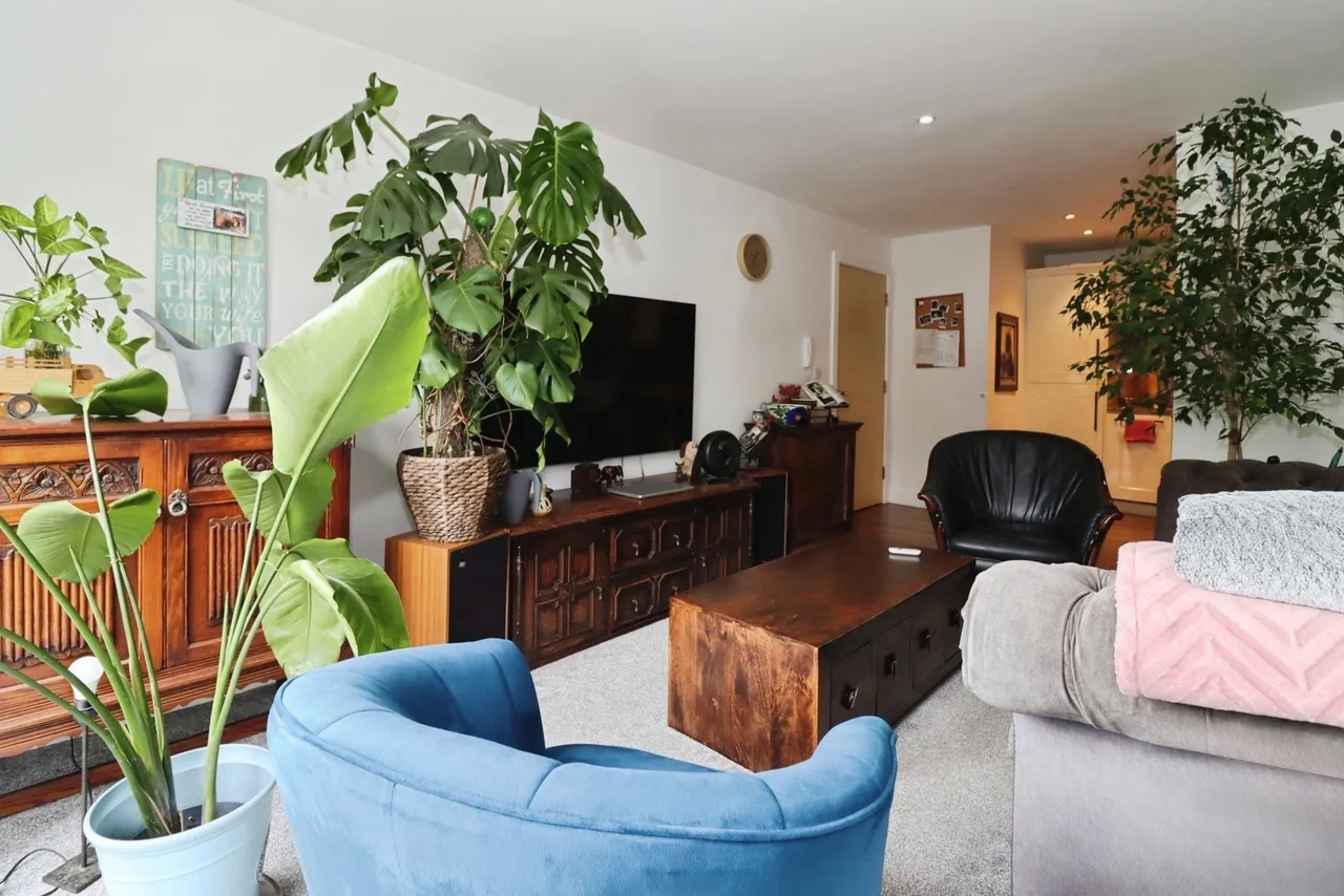 Hollybrook Park, Kingswood, Bristol, BS15, photo 13