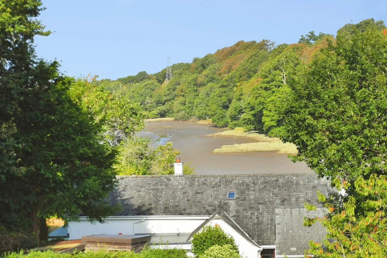 Holly Park Close, Plymouth, PL5, photo 16