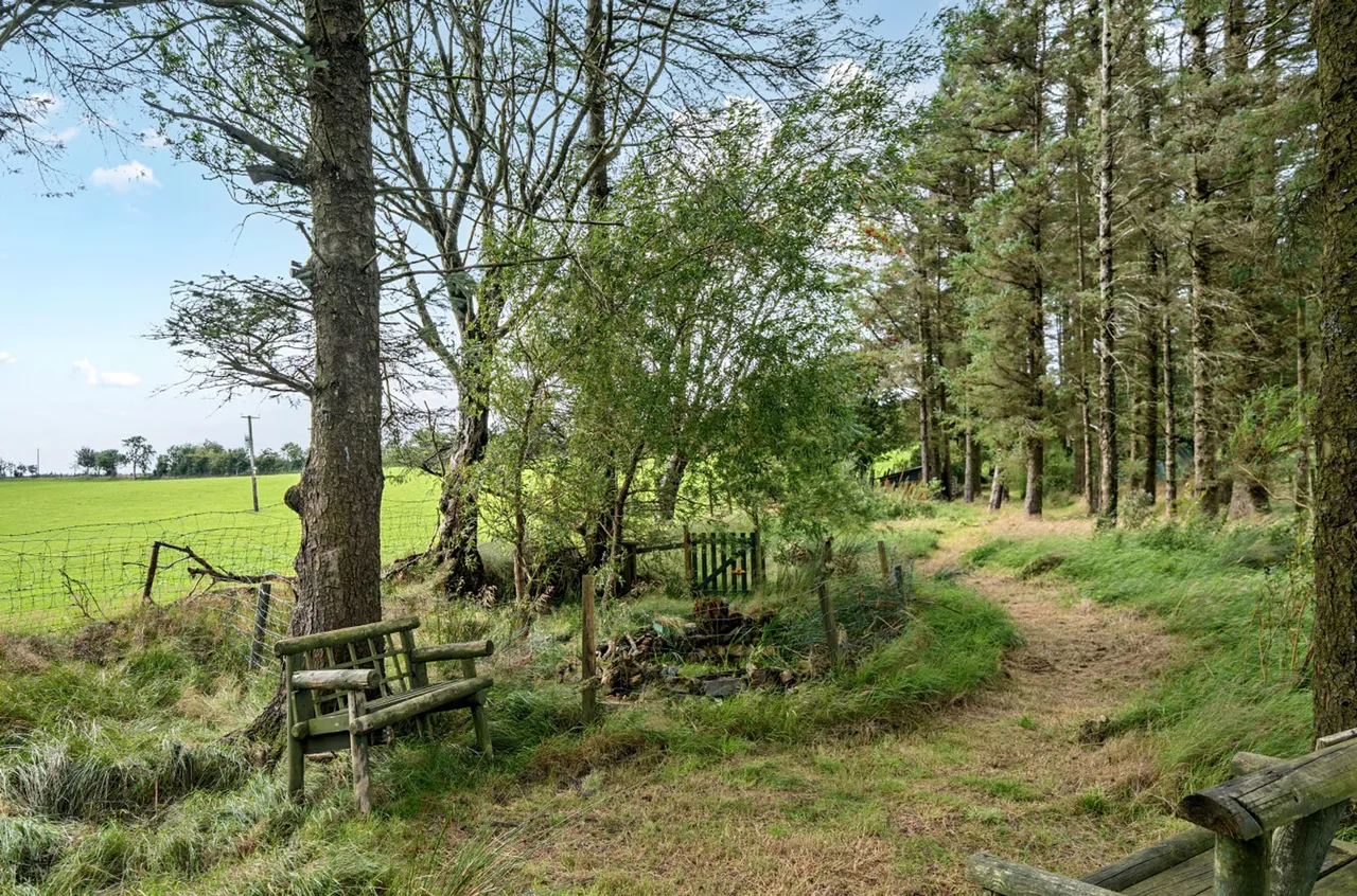 Llansannan, Denbigh, LL16, photo 26