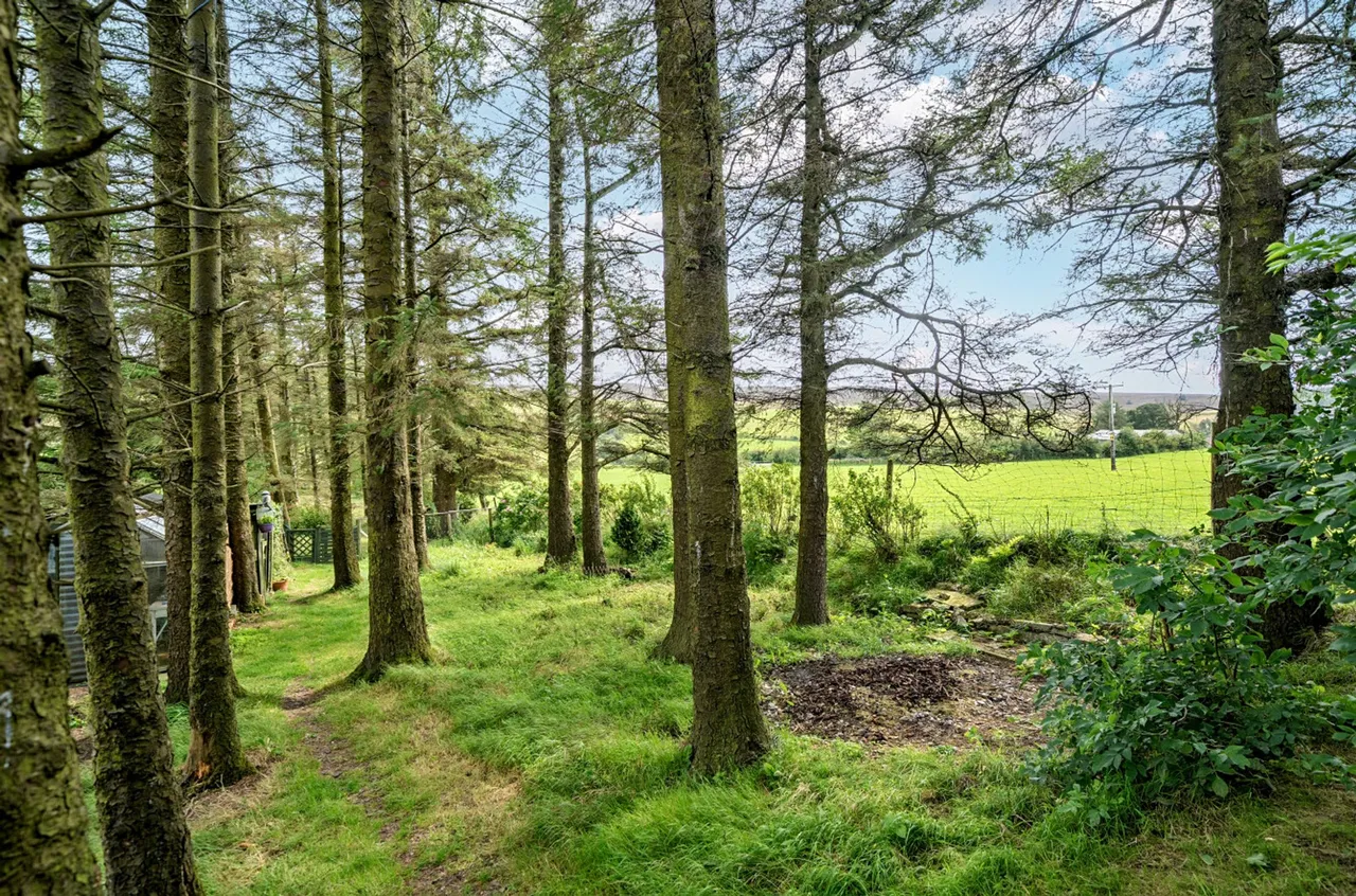 Llansannan, Denbigh, LL16, photo 27