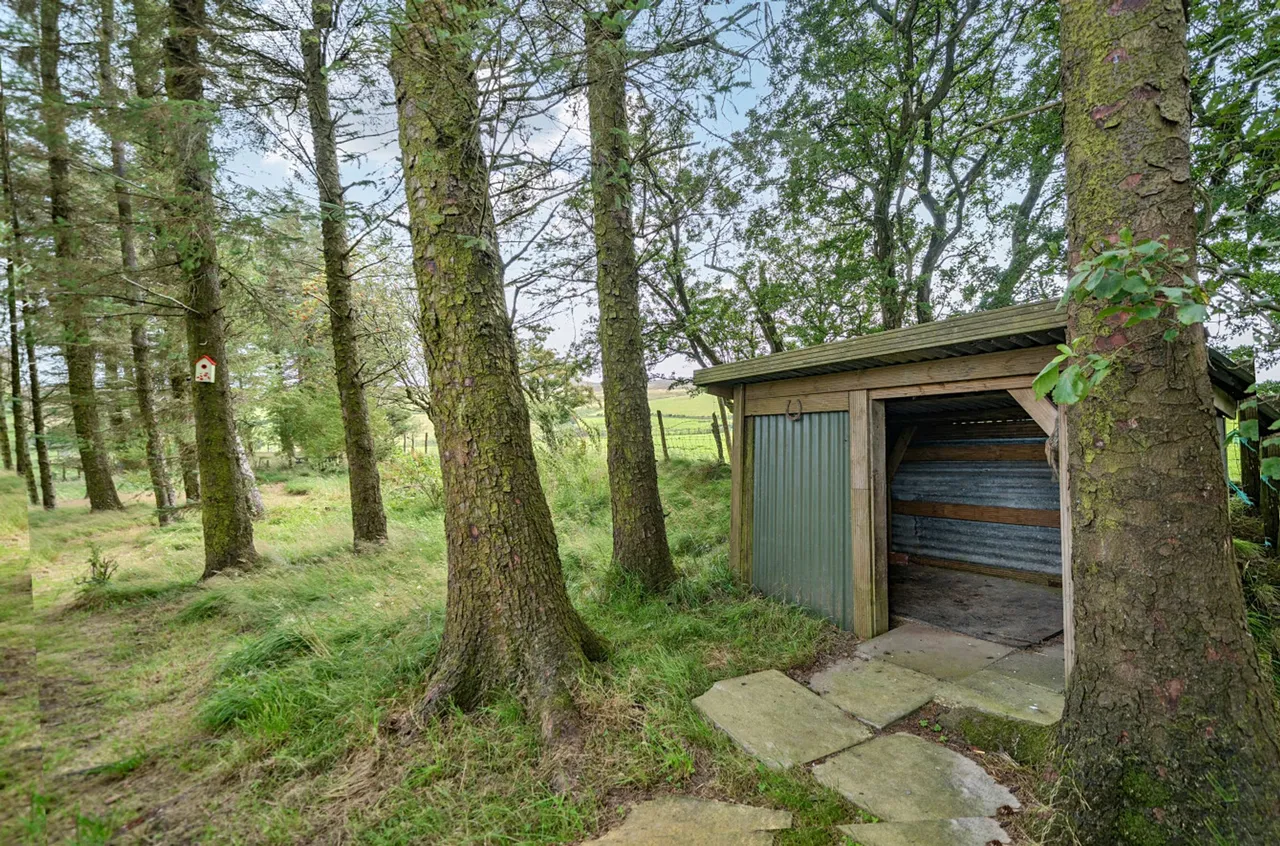 Llansannan, Denbigh, LL16, photo 25