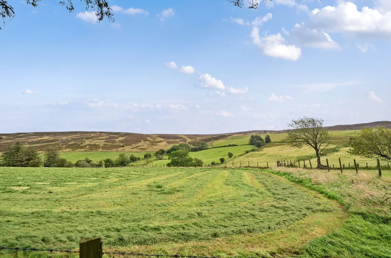 Llansannan, Denbigh, LL16, photo 28