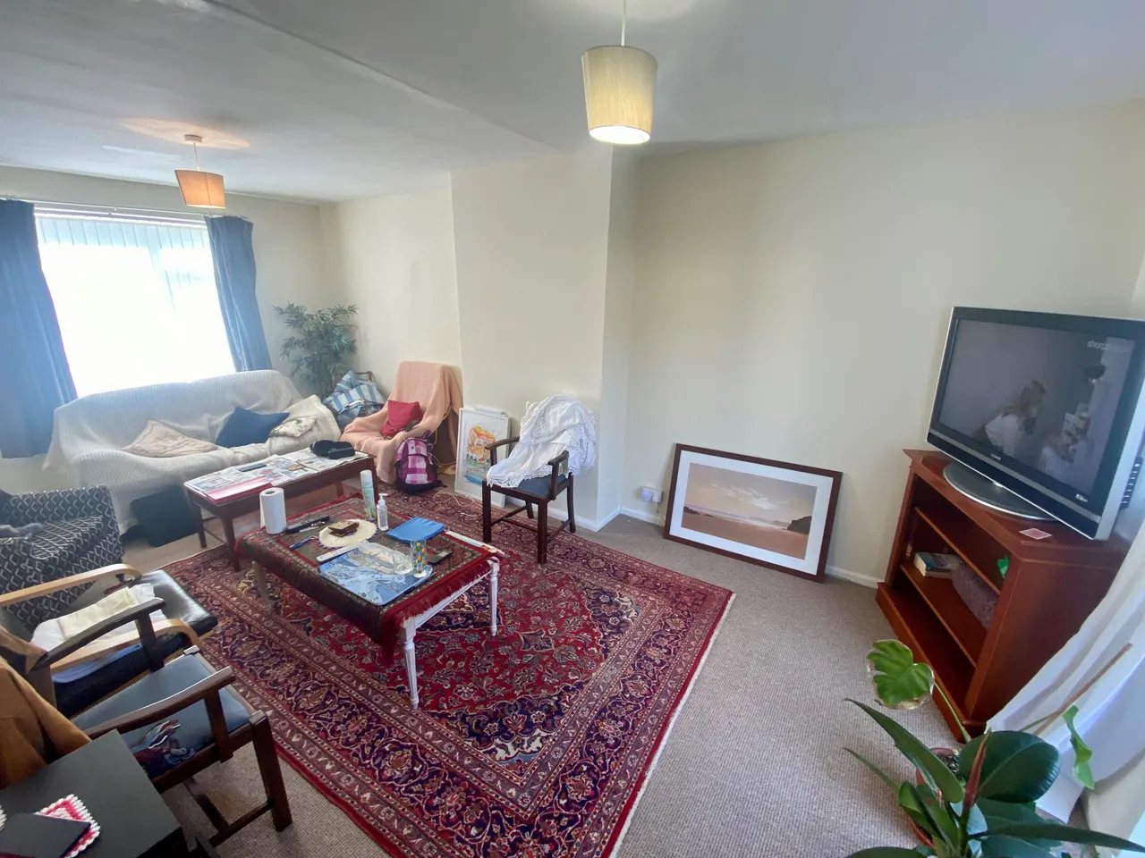 Conifer Crescent, Clifton, photo 4