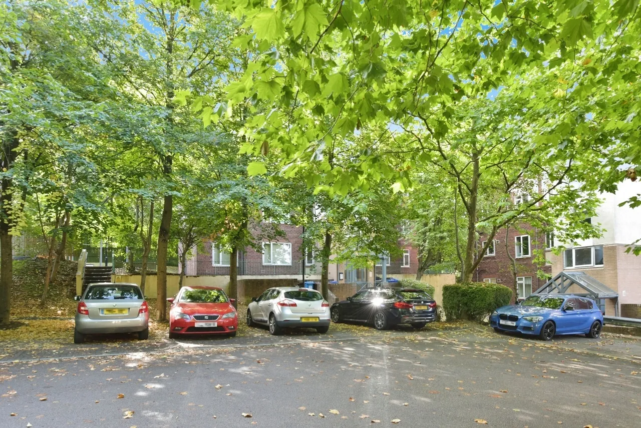Bard Street, Sheffield, S2, photo 8