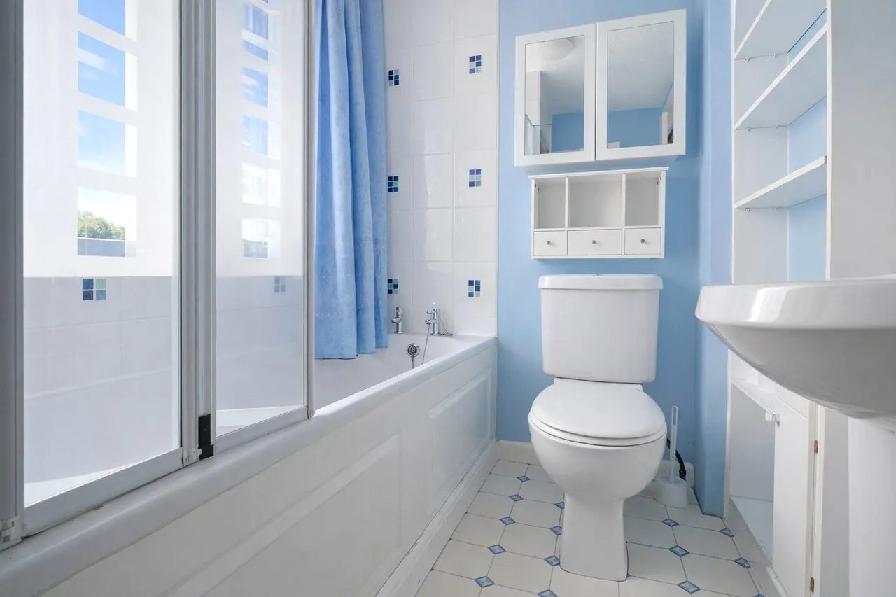 Lansdown Terrace, Barnstaple, EX32, photo 7