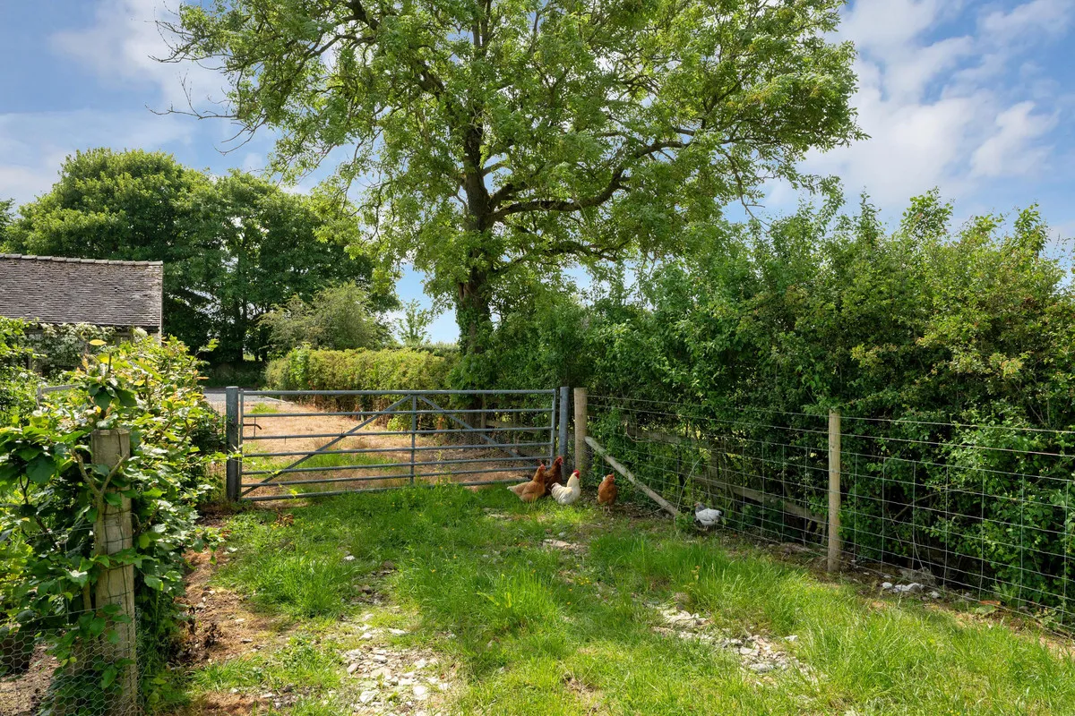 Marston Common, Marston Montgomery, DE6, photo 37