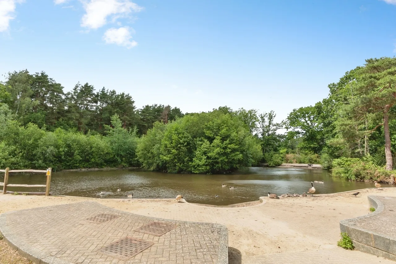 The Avenue, Lightwater, GU18, photo 6