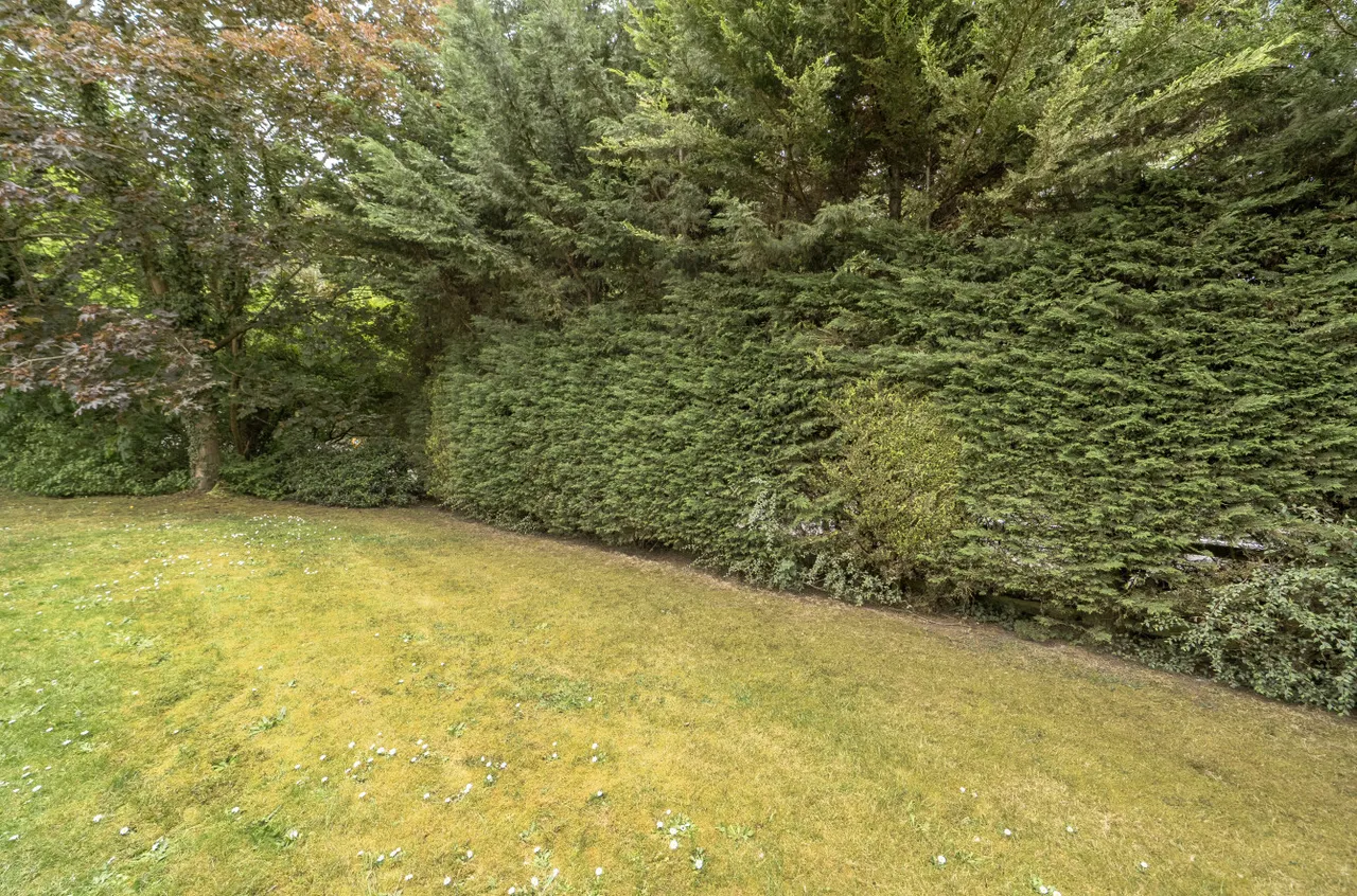 Burdock Close, Lightwater, Surrey, GU18 5YP, photo 10