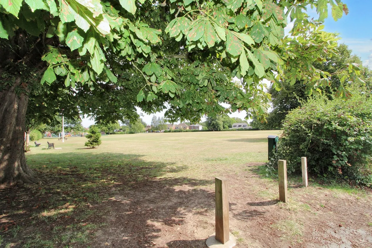 The Common, Holmer Green, HP15, photo 14