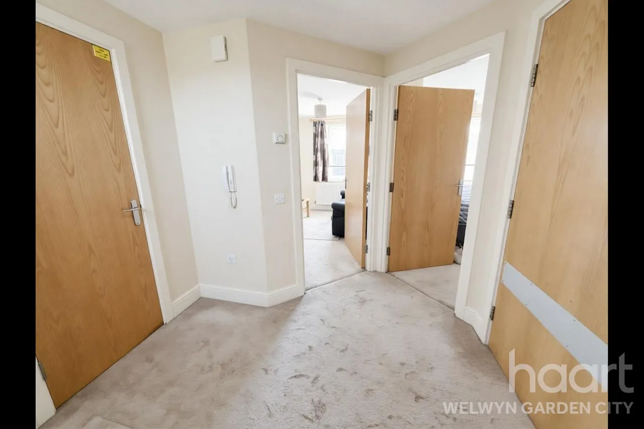 Moors Walk, Welwyn Garden City, AL7, photo 10