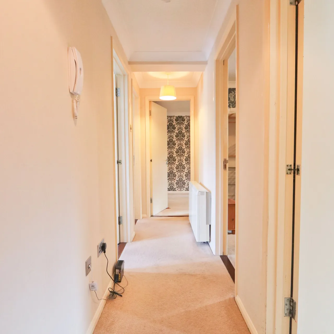 Elmgrove Road, Cotham, BS6, photo 11