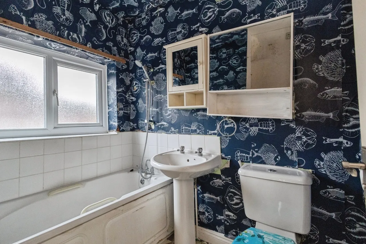 Whiteley Street, Manchester, M11, photo 14