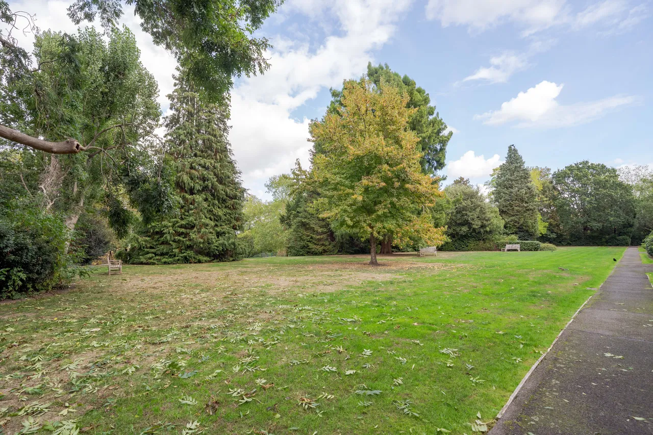 Putney Heath, London, SW15, photo 15