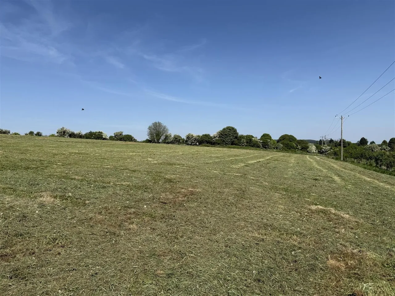 Chelynch, Shepton Mallet, Somerset BA4 4PY, photo 5