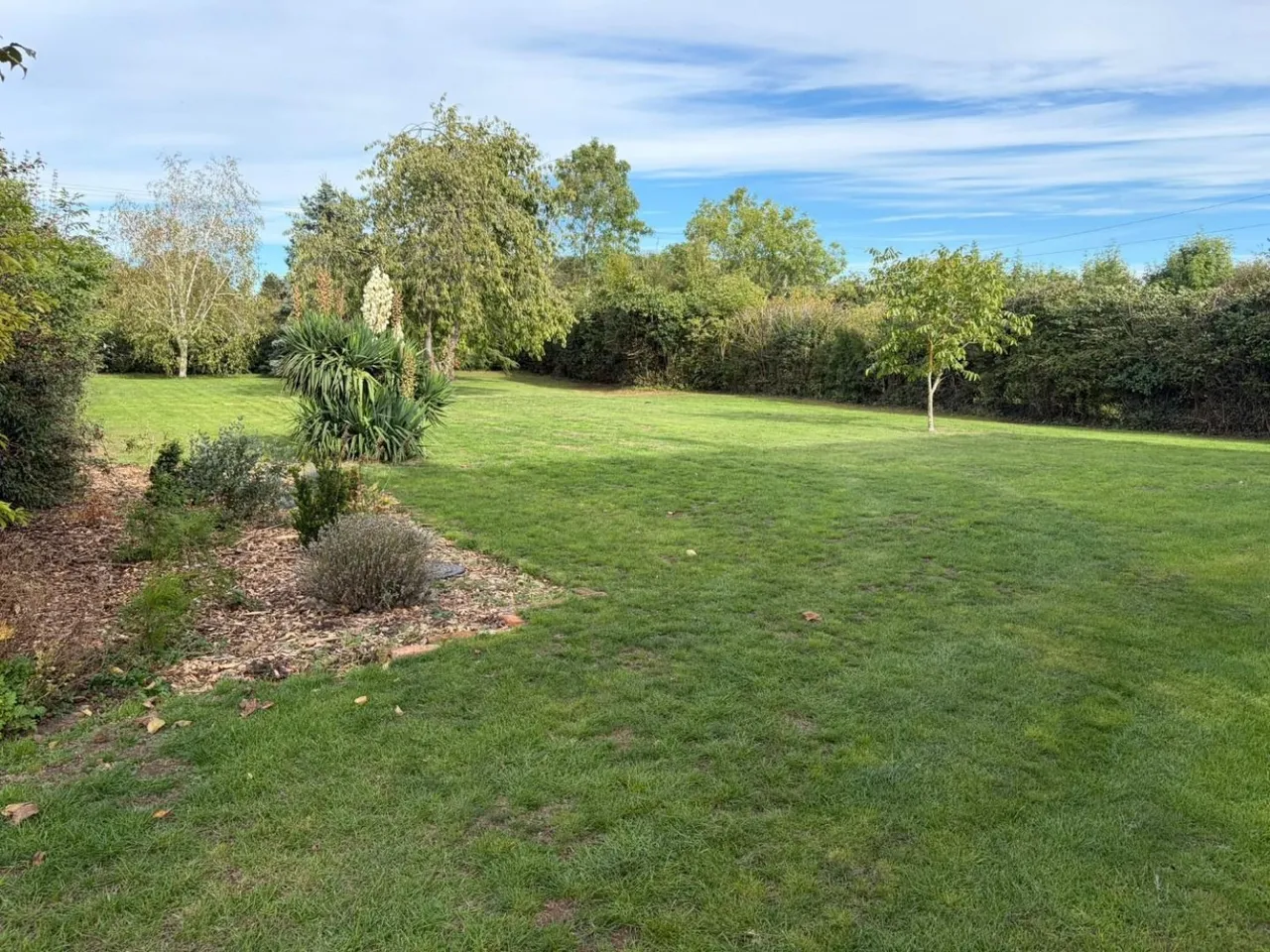 New Wiseton, Wiseton, DN10, photo 14