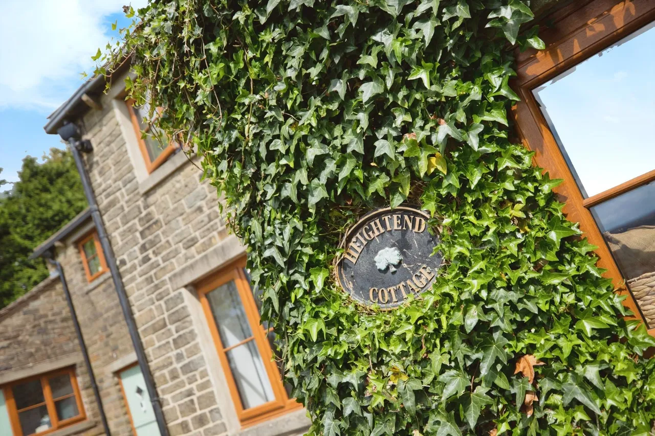 Kirk Hill Road, Rossendale, BB4, photo 4