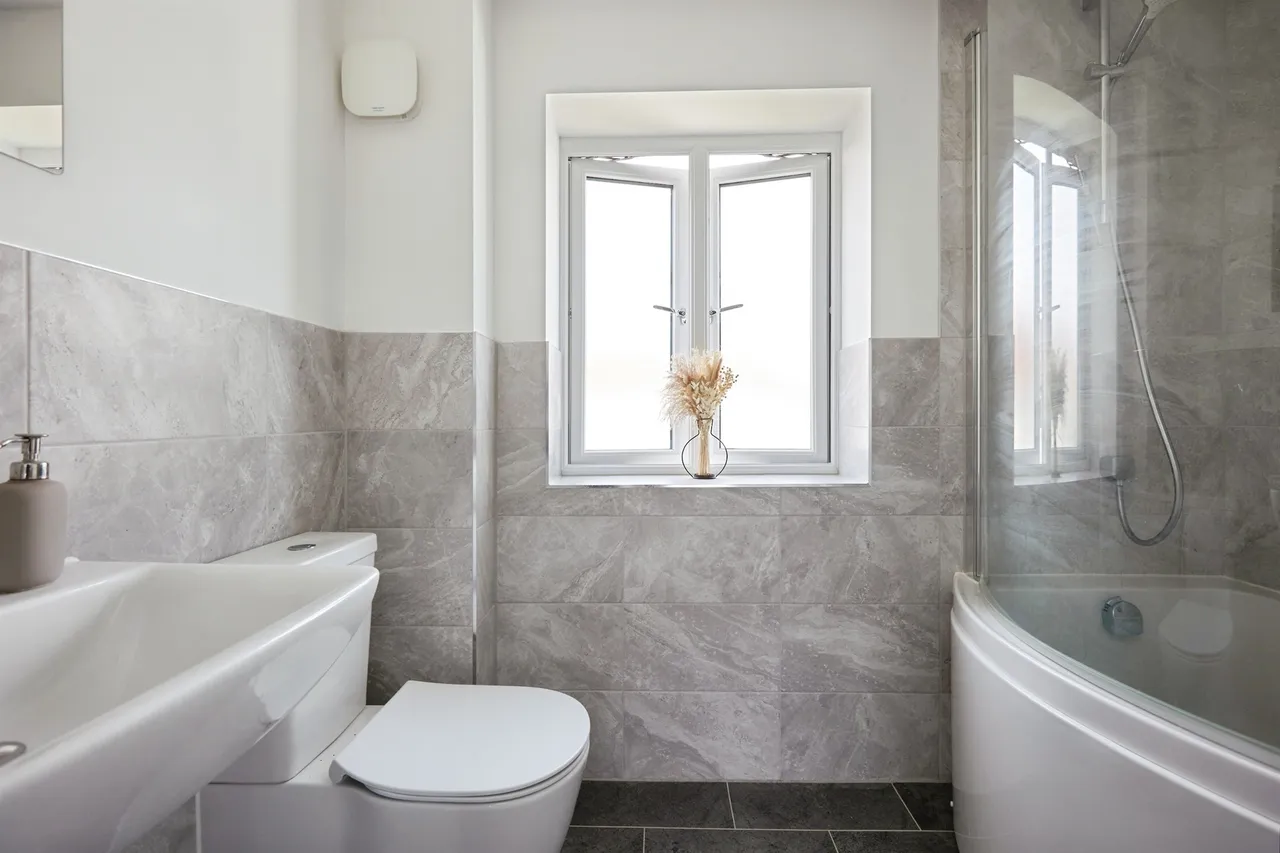 Bristle Grove, Mere, BA12, photo 12