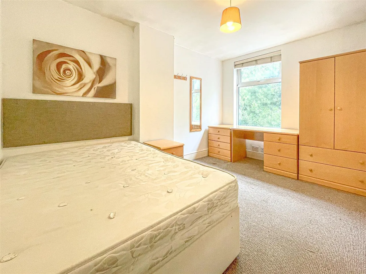 Winchester Avenue, Leicester, LE3, photo 21