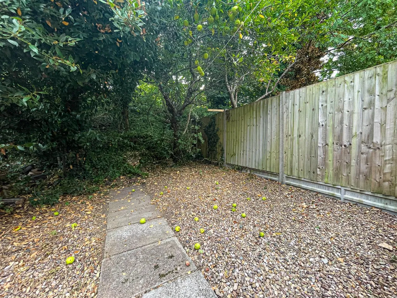 Winchester Avenue, Leicester, LE3, photo 23