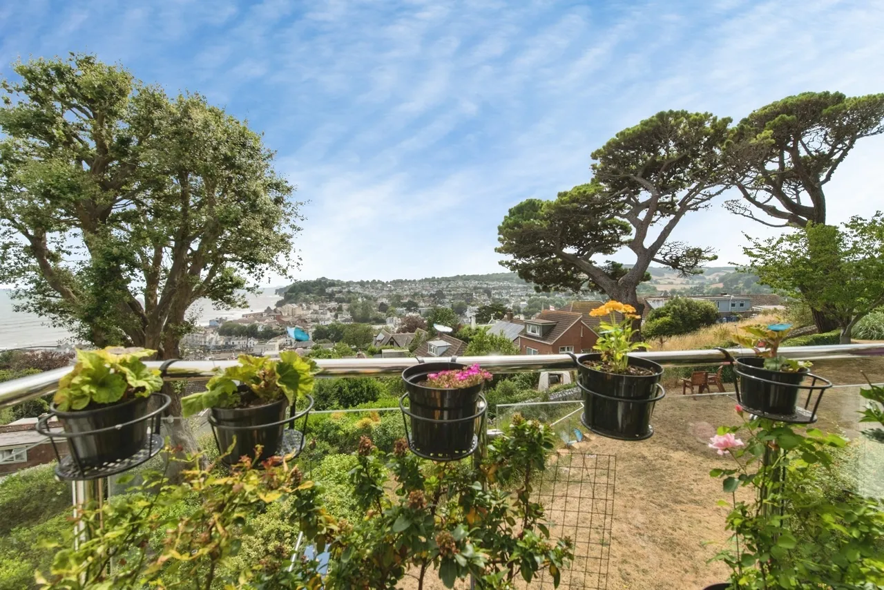 East Cliff Road, Dawlish, EX7, photo 11