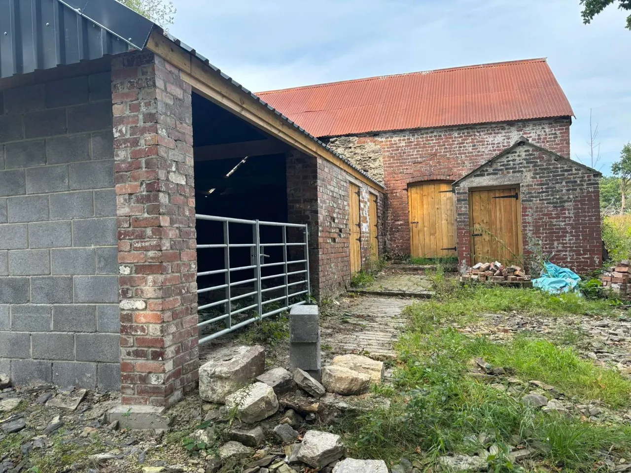 Myddfai, Llandovery, Carmarthenshire, SA20 0LZ, photo 8