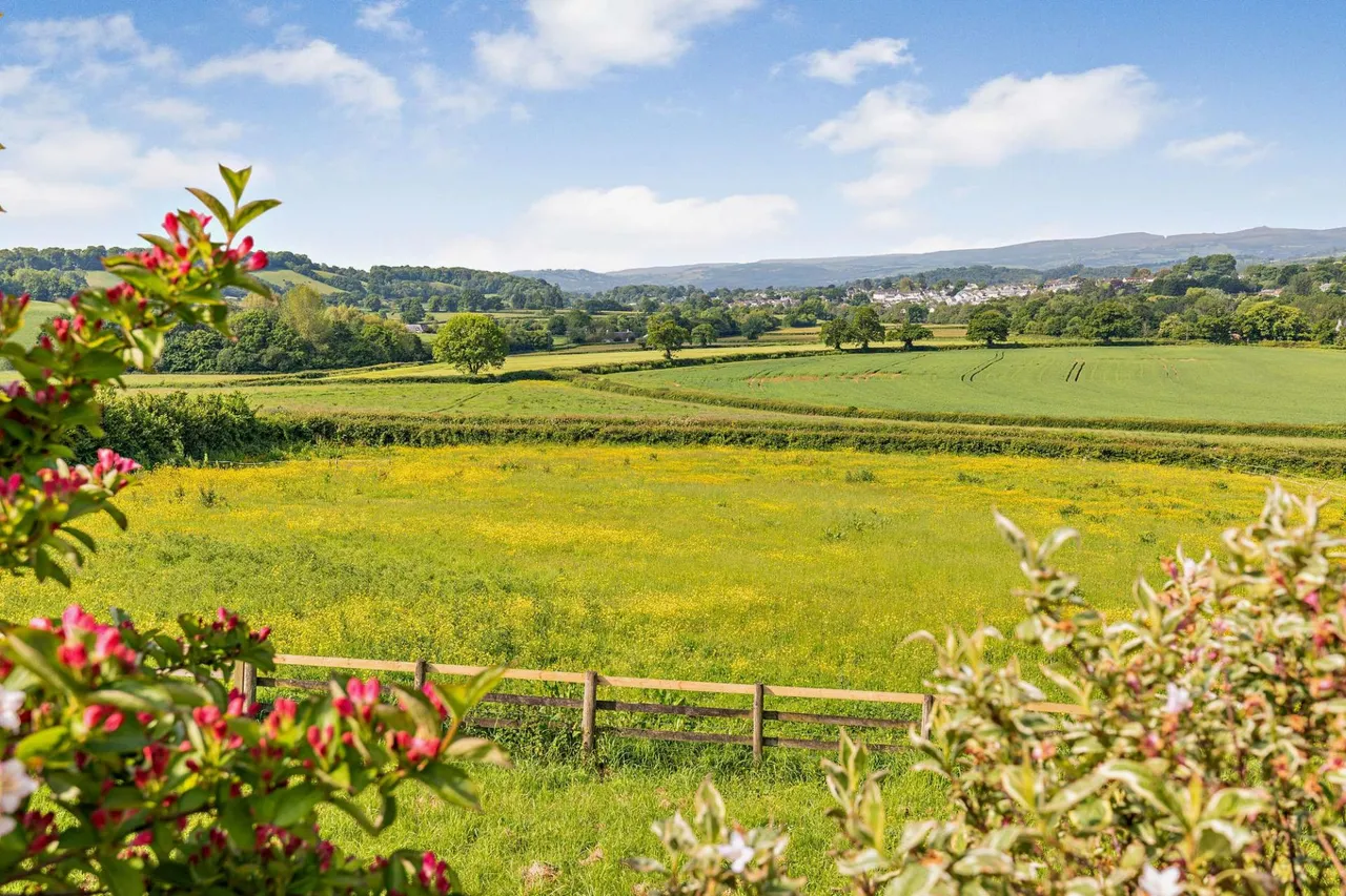 Chudleigh, Newton Abbot, TQ13, photo 32