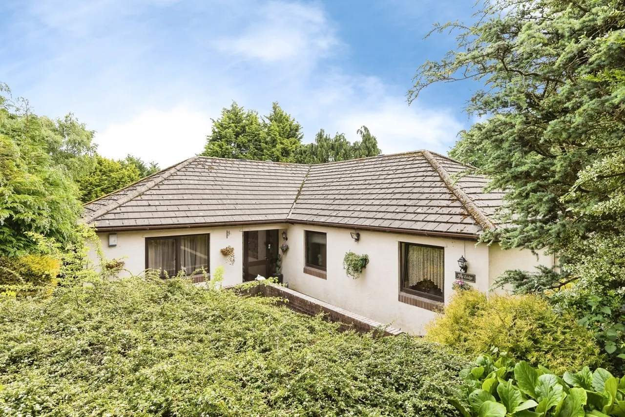 Brandy, Ruabon, LL14, photo 29