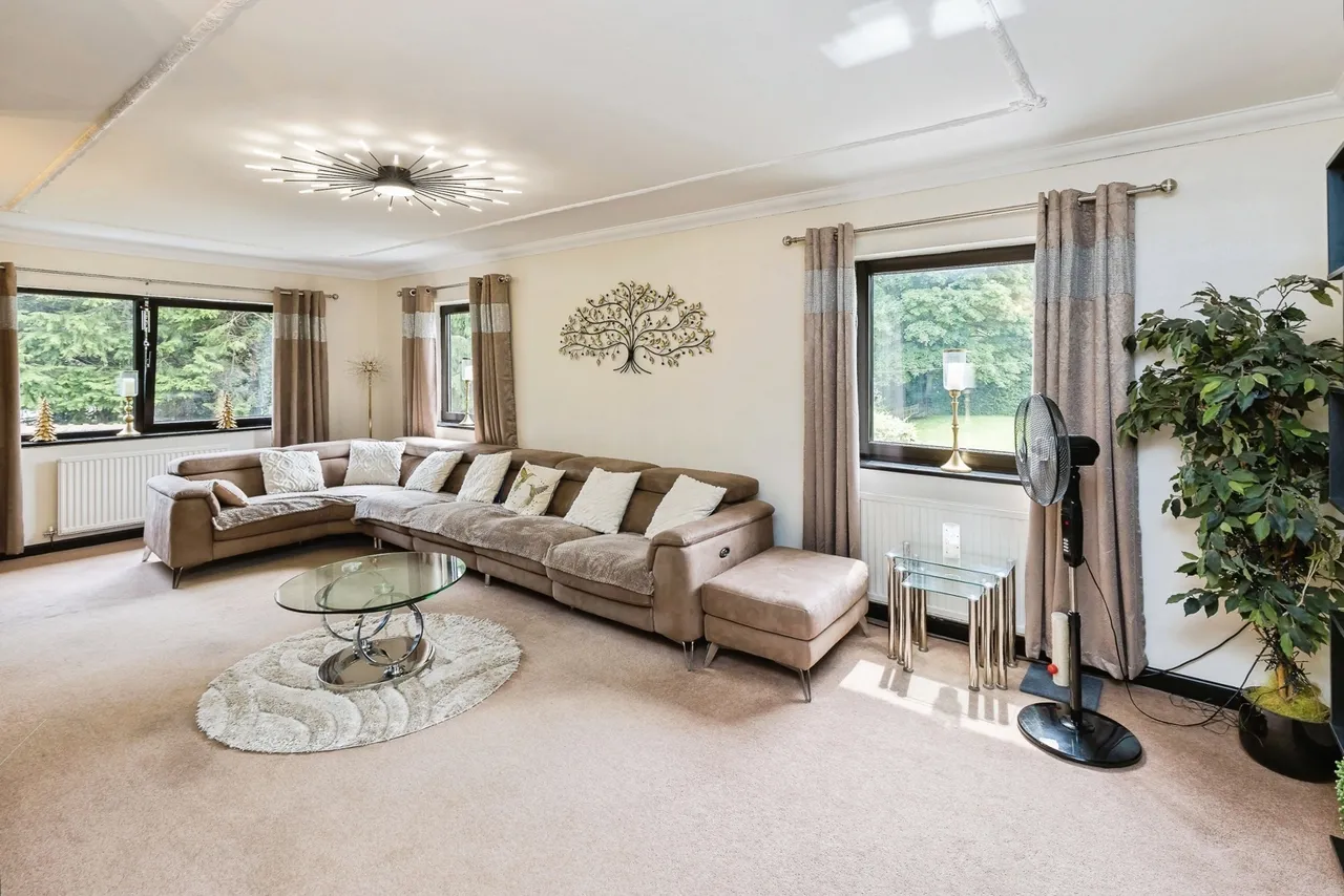 Brandy, Ruabon, LL14, photo 4