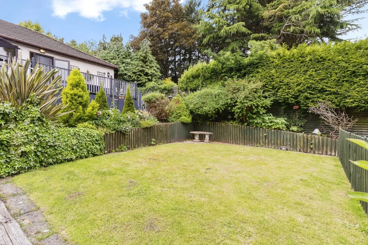 Brandy, Ruabon, LL14, photo 27