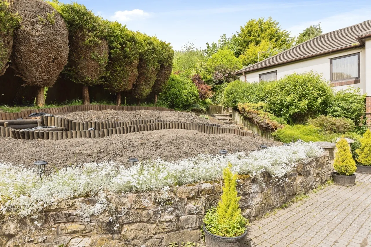 Brandy, Ruabon, LL14, photo 28