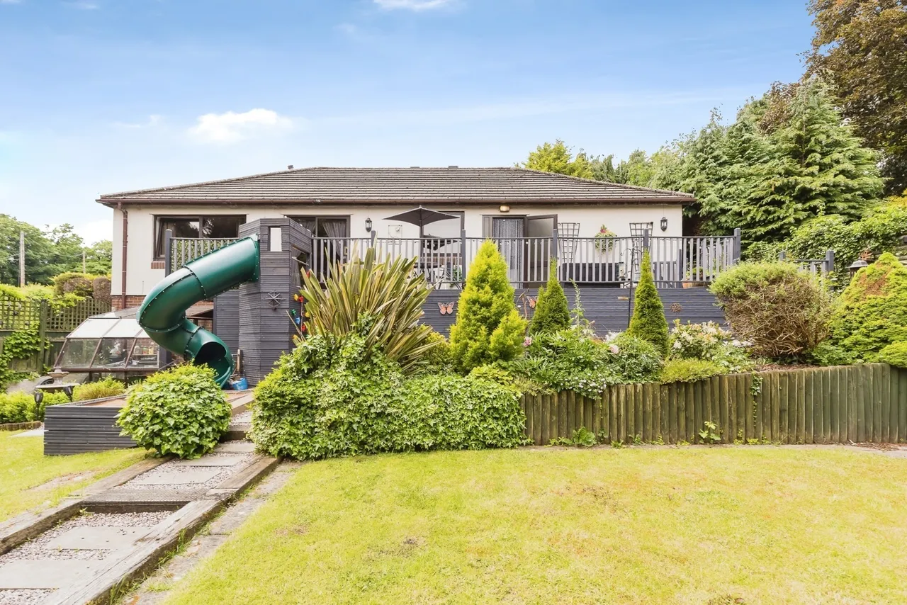 Brandy, Ruabon, LL14, photo 5