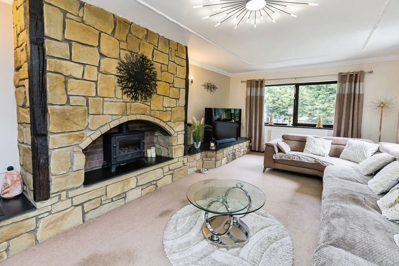 Brandy, Ruabon, LL14, photo 13