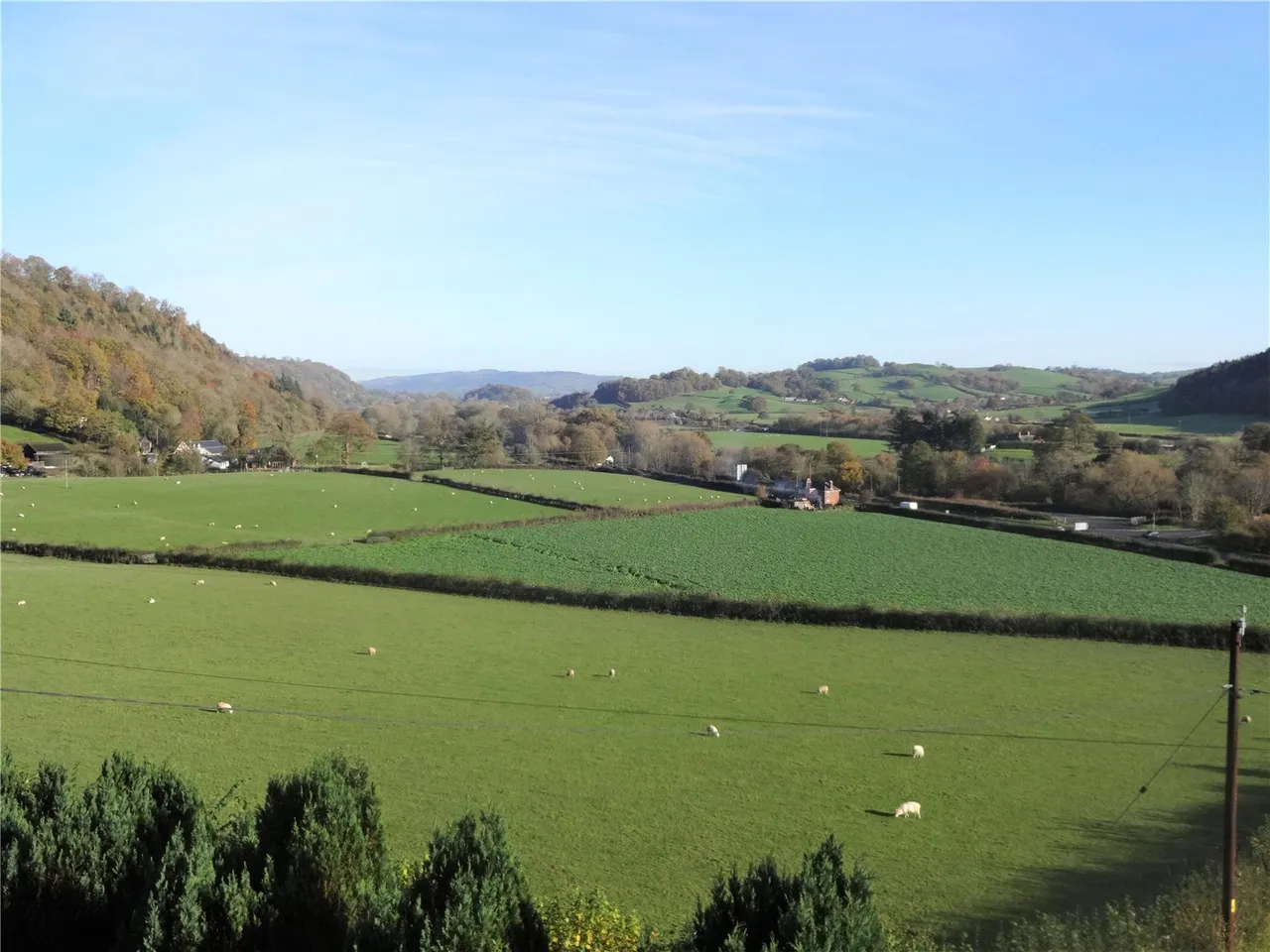 Middle Llegodig, Abermule, photo 8