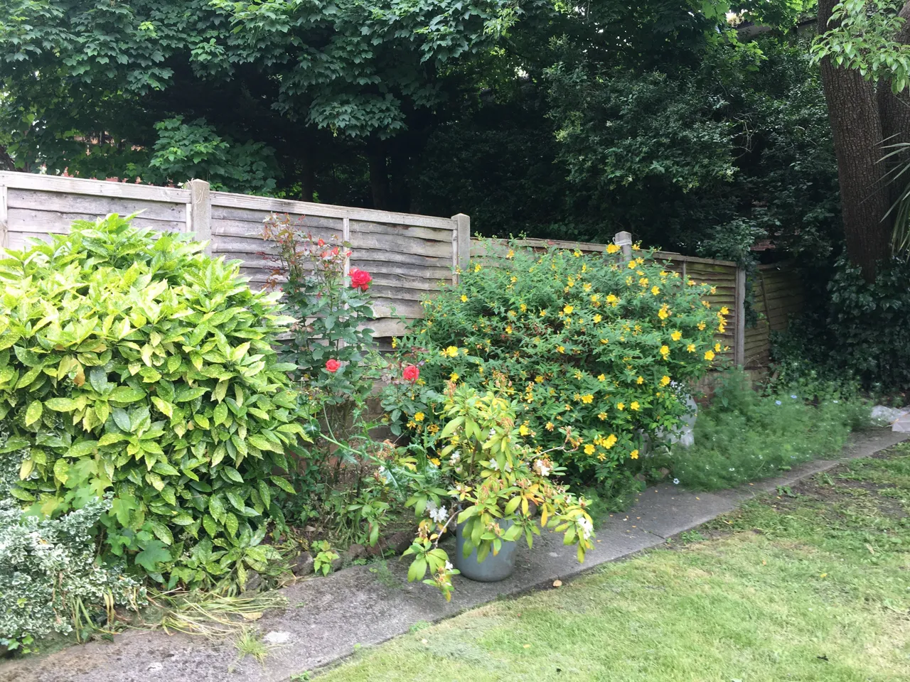 49 Fordwych Road, London, photo 9