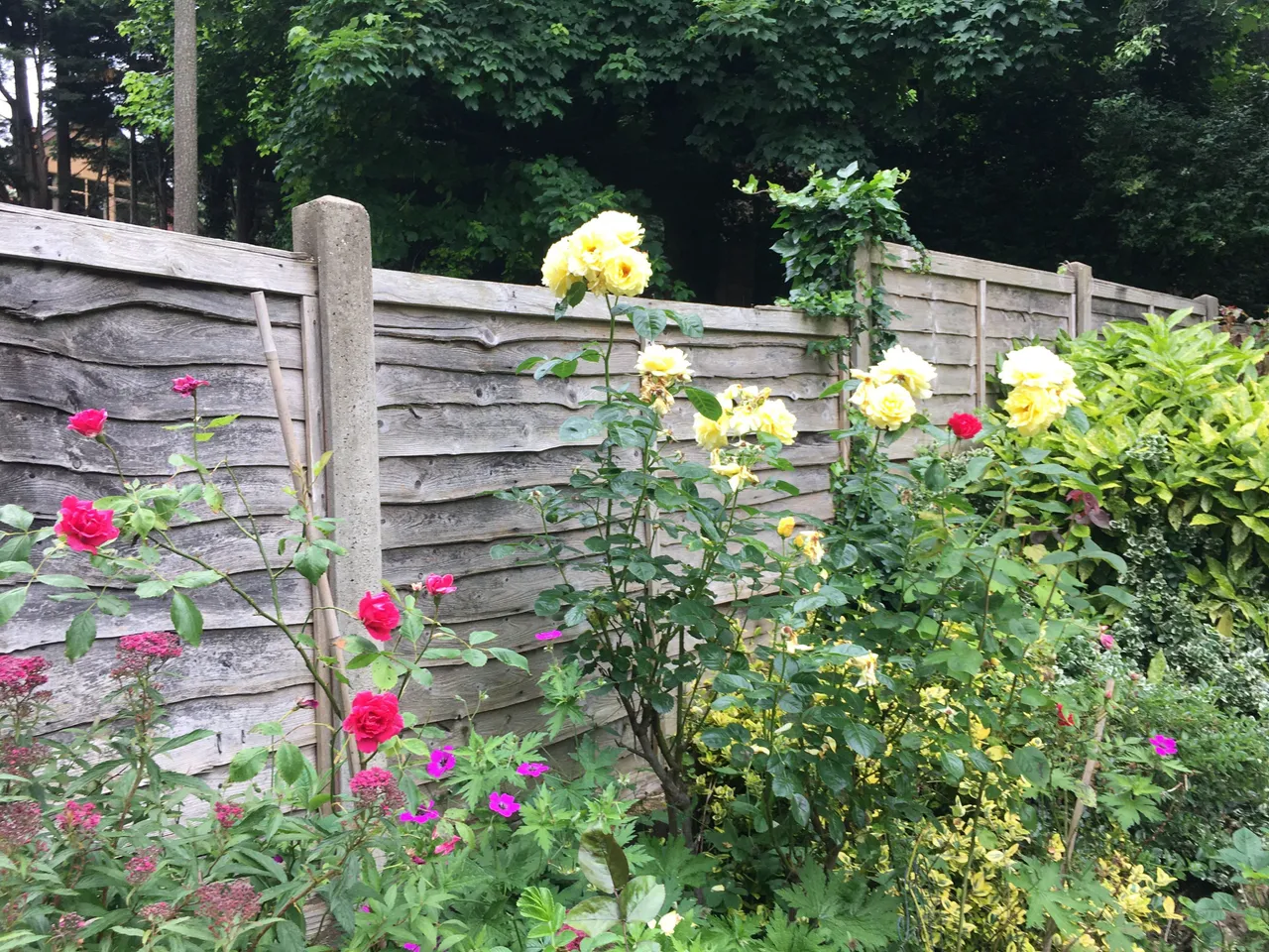 49 Fordwych Road, London, photo 11