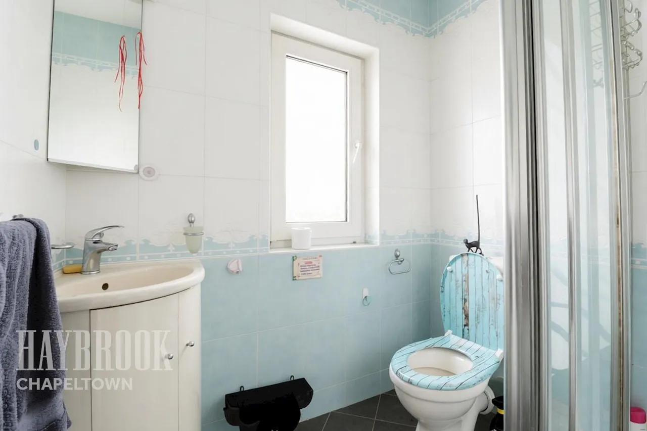 Ellerton Road, Firth Park, photo 14