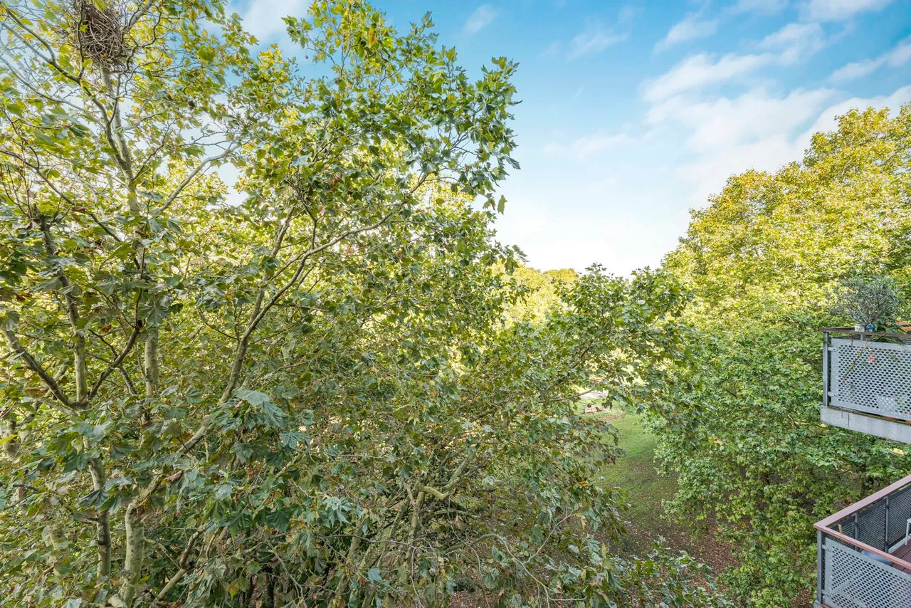 Meath Crescent, London, E2, photo 13