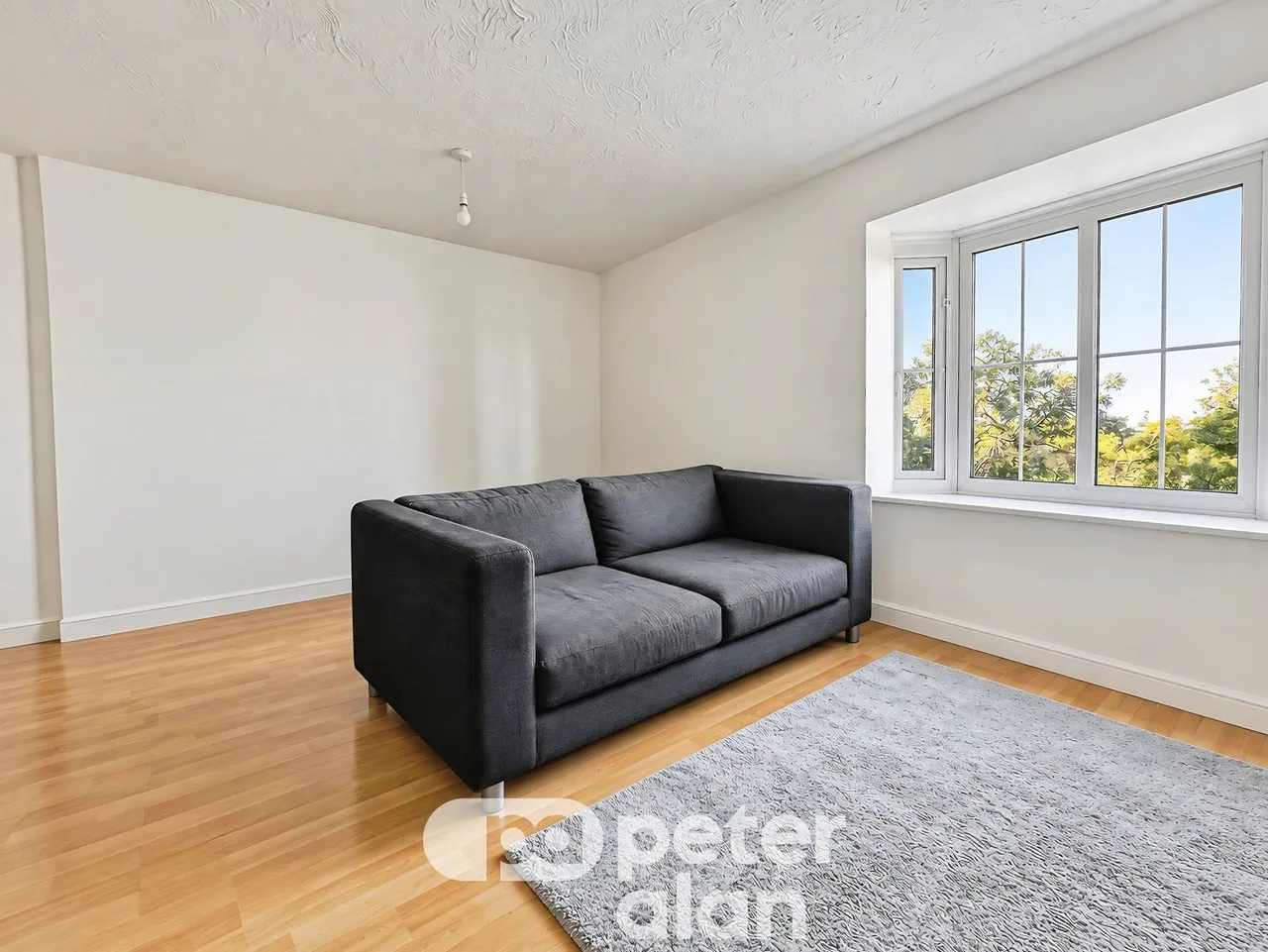 Seager Drive, Cardiff, CF11, photo 6